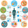 Qué tipo de dieta va mejor con Sibutramine según tu biotipo