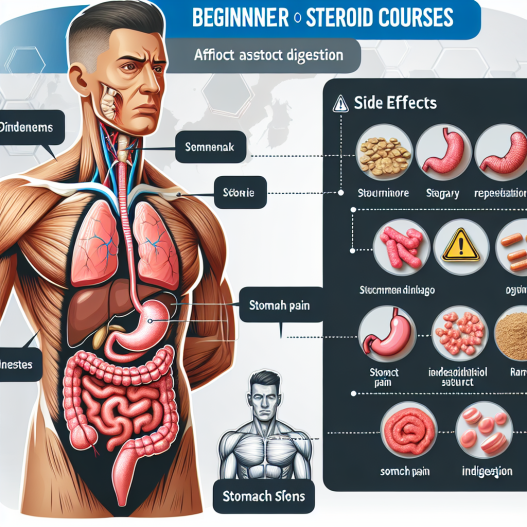 ¿Cursos de esteroides para principiantes puede afectar tu digestión?